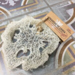 Tranche de Loofa